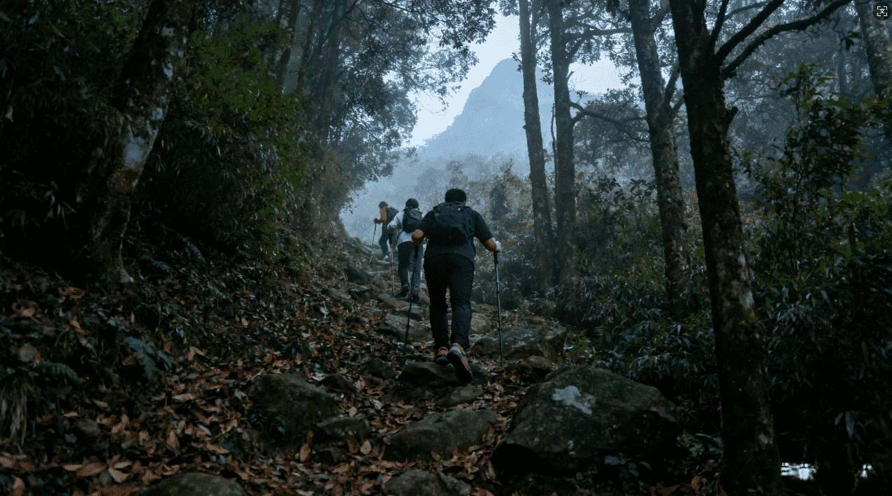 白鲸加速器是否已经更名？知乎用户讨论揭秘